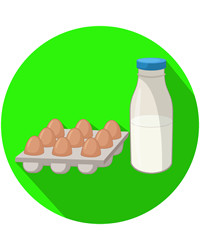 Молочные продукты / Яйцо